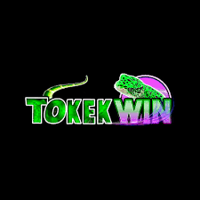 TOKEKWIN - Aplikasi Investasi Terpercaya di Genggaman Anda